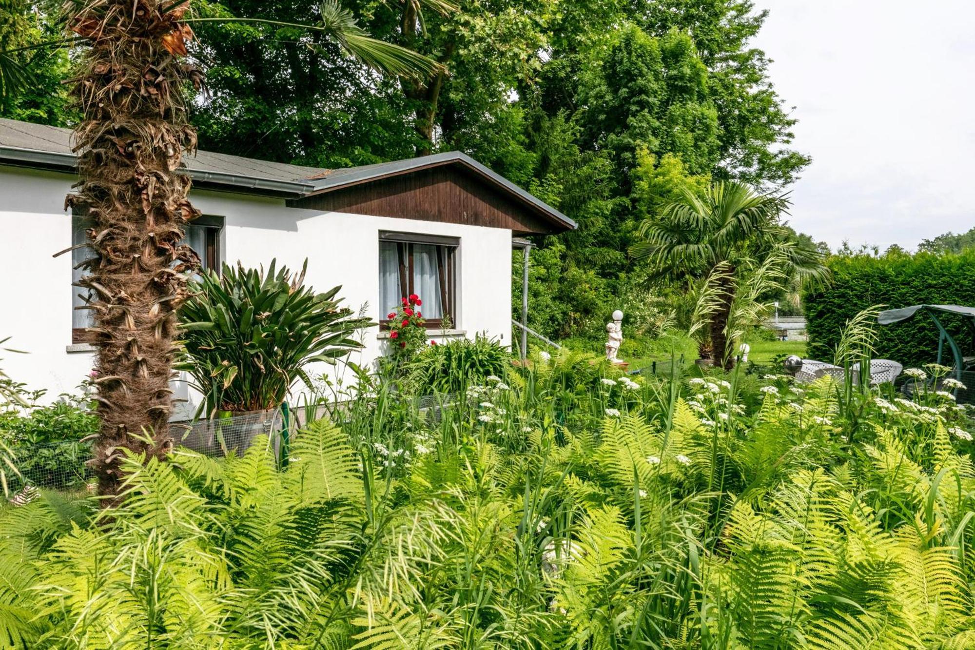 Haus Am See Königs Wusterhausen Exterior foto